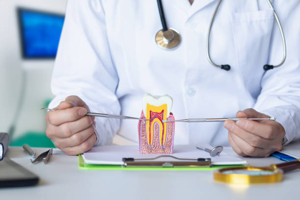 Best Chipped Tooth Repair Near Me  in Argos, IN